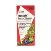 Floradix 250ml